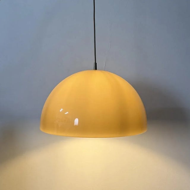 Brown Mushroom Pendant, 1970s For Sale - Image 17 of 18