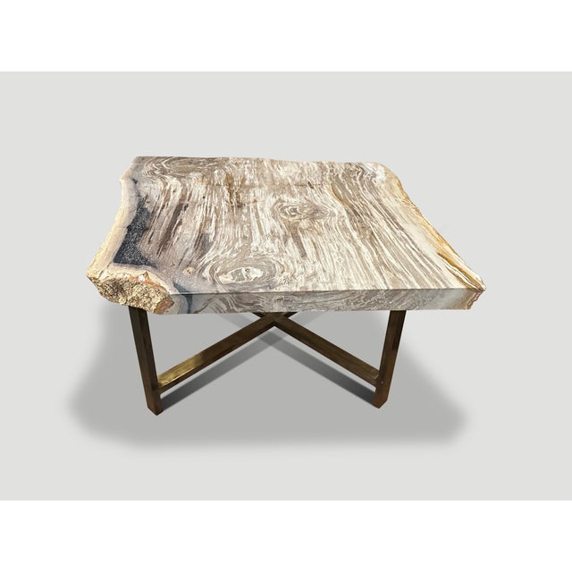 Andrianna Shamaris Live Edge Petrified Wood Coffee Table For Sale - Image 13 of 18