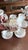 Rare Antique English Bone China Bat Printed Tea Service, by Ridgway, Pattern 1684/2, Circa 1830s - 22 pcs For Sale - Image 14 of 18