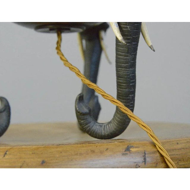 Early 20th Century Elephant Table Lamp For Sale - Image 9 of 10
