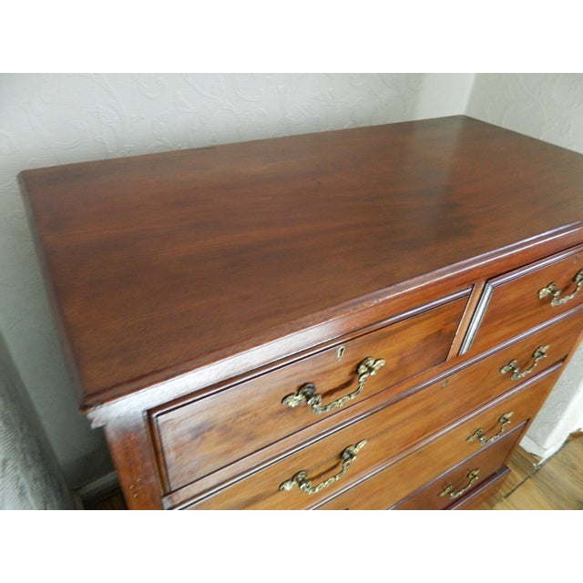 Antique Mahogany Chest of Drawers from Warings & Gillow, 1890s For Sale - Image 6 of 18