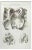 Ottavio Muzzi, Diseases of the Arteries, Lithograph, 1843 For Sale