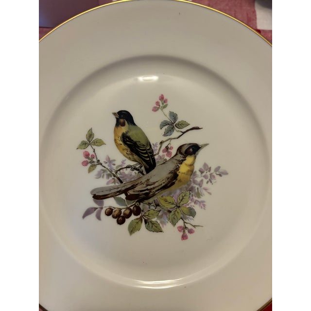 Mid Century Jkw Western Germany Porcelain Song Bird Plates, Set of 6 For Sale - Image 9 of 12