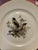 Mid Century Jkw Western Germany Porcelain Song Bird Plates, Set of 6 For Sale - Image 9 of 12