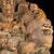 Yellow 1950s Carved Shoushan Stone "Mountain-Form" Seal Figurine With Dragon, Phoenix & Qilin — Multi-Tier Carved Base For Sale - Image 8 of 10