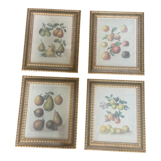 1990s Chelsea House Set of 4 Pear Prints For Sale