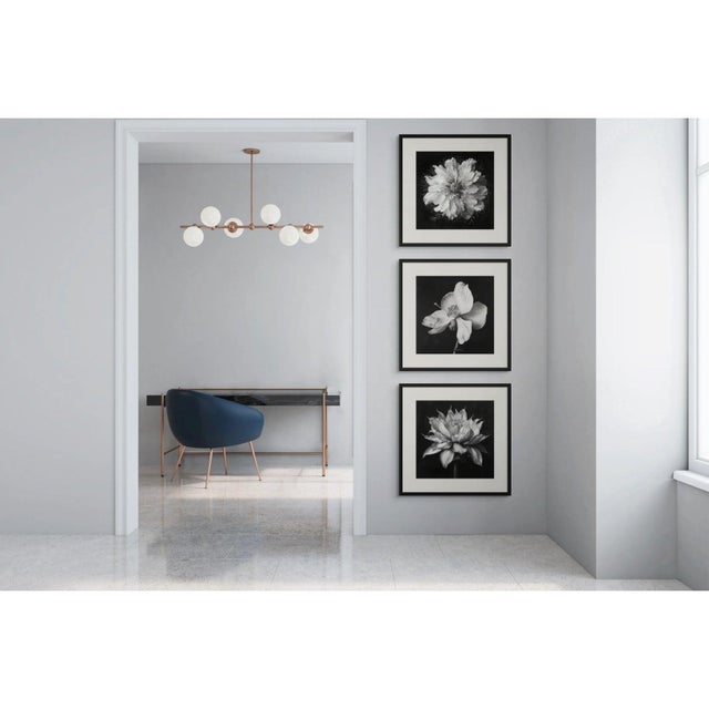 Nigella Damascena Flower - Black and White Botanical Photography | Unframed For Sale - Image 4 of 5