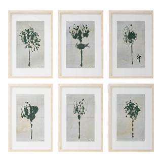 Set of 6 - One-of-a-Kind Dark Green Botanical Organic Modern Original Oil Paintings / Herbarium / Floral / Earth Tones For Sale