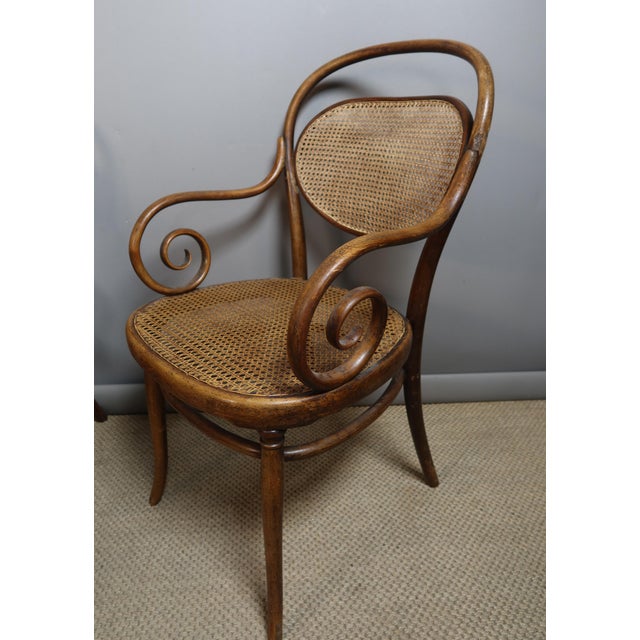 Tan Chairs and Armchairs by Michael Thonet for Thonet, 1890s, Set of 11 For Sale - Image 8 of 10