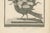 Engraving of Sani, Hindu Deity on Raven, 1806, Print For Sale - Image 3 of 10