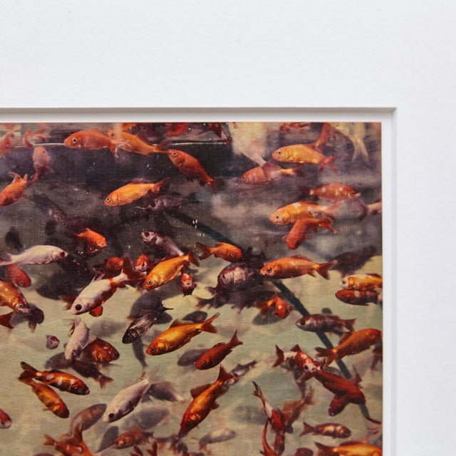 Not Yet Made - Made To Order Mouth of Krishna 128 Print by Albarran & Cabrera, 2013 For Sale - Image 5 of 10