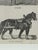 Webb & Millington, The Panorama of Horses, 1850, Engraving For Sale - Image 17 of 18