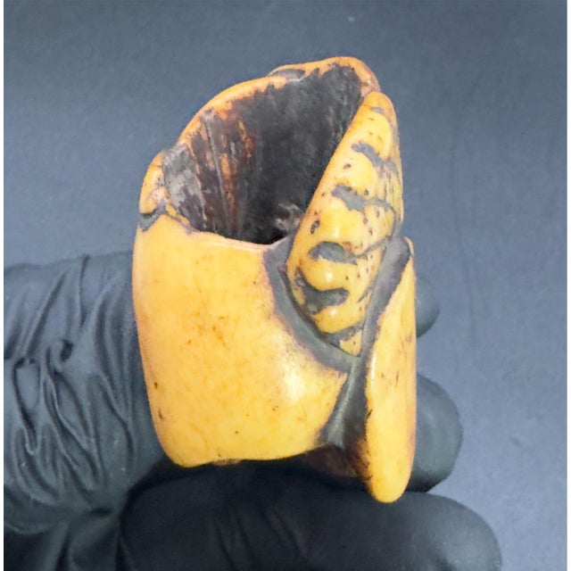 Mid 18th Century Antique Japanese Bone Netsuke, Sea Life, Edo Period, Belt Toggle For Sale - Image 5 of 8