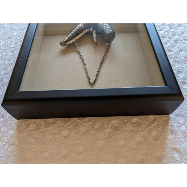 Vintage Early 20th Century Metal Powder Horn From Yemen in Shadow Box Frame For Sale - Image 10 of 13