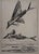 Bernard Buffet, Flying Fish, Etching For Sale