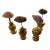 Vintage Celestial Meets the Sea Placeholders - Set of 4-Coastal Art Sculpture For Sale