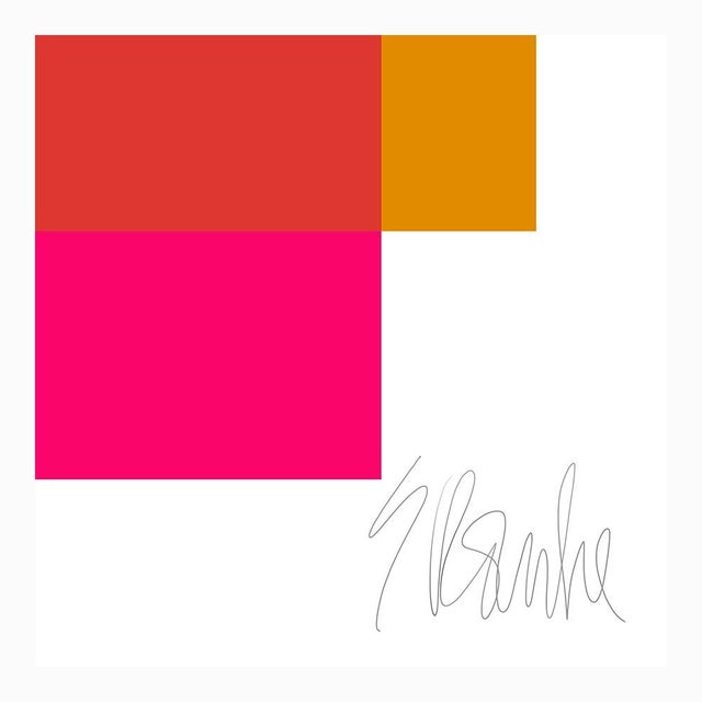 The Interaction of Gold and Deep Pink Fine Art Print 30" X 40" by Liz Roache For Sale In Boston - Image 6 of 6