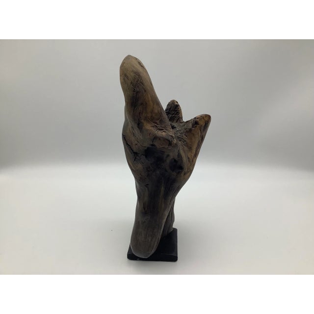 Late 20th Century Driftwood Sculpture For Sale - Image 9 of 13