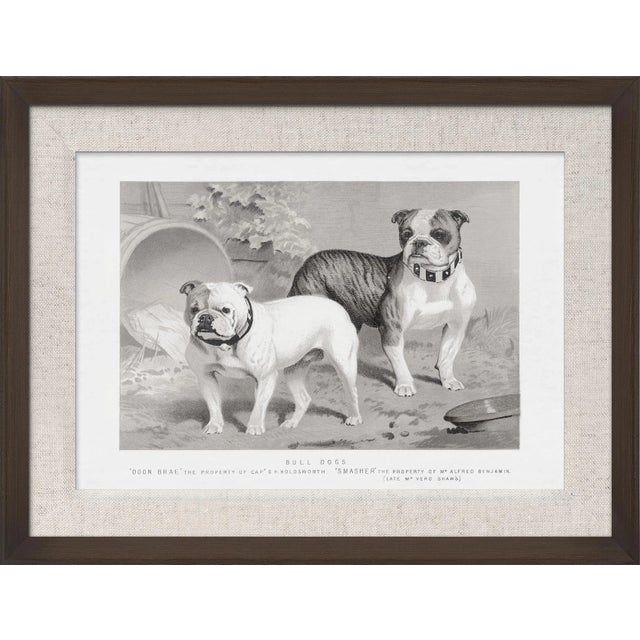 We all love our dogs and this collection allows you to choose all there different breeds that are illustrated from the...
