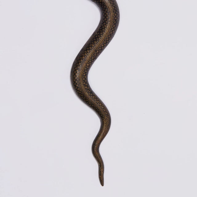 Pair of Anglo Indian Cobra Wall Sconces For Sale In West Palm - Image 6 of 9