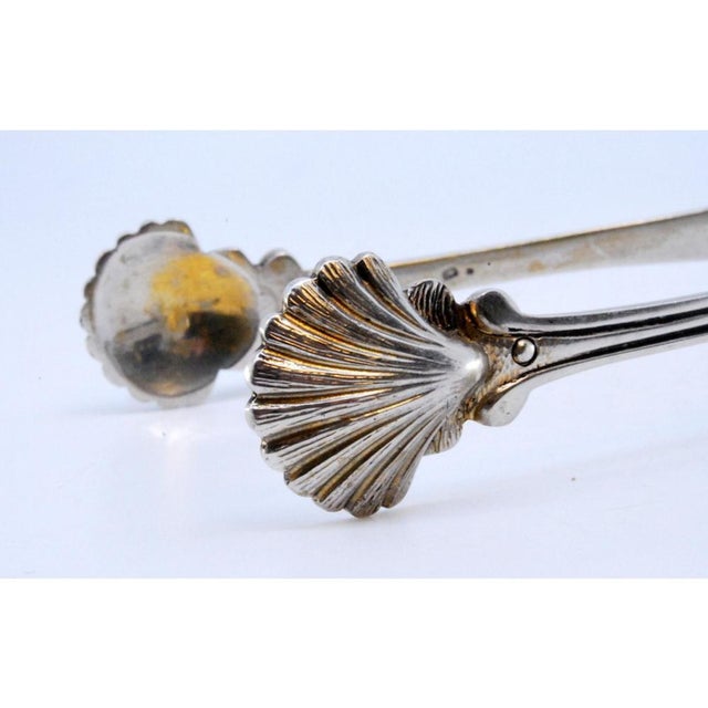 Silver Sugar Tongs with Reliefs and Scallop Shells For Sale - Image 4 of 9