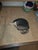 Joseph Vince Antique Fencing Helmet For Sale - Image 11 of 12