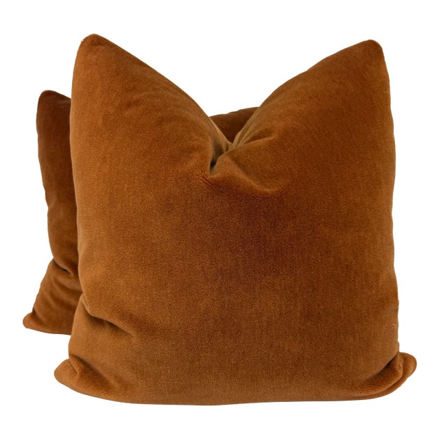 Dedar "Alpaca Alto" in Scoiattolo 22" Pillows-a Pair For Sale