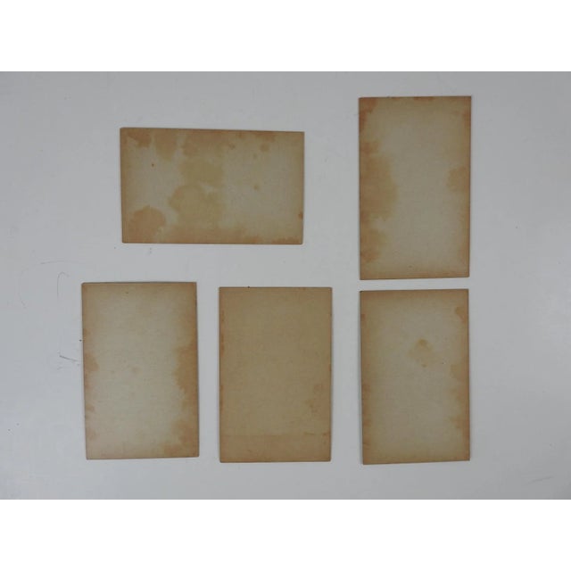 Vintage 1940s Pinup Girls Arcade Card Collection Photograph Prints - Set of 5 For Sale - Image 4 of 5