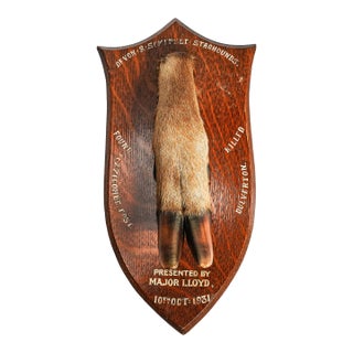 Nice Deer Hoof Wood Shield Mounted Antique English Taxidermy Hunting Trophy For Sale