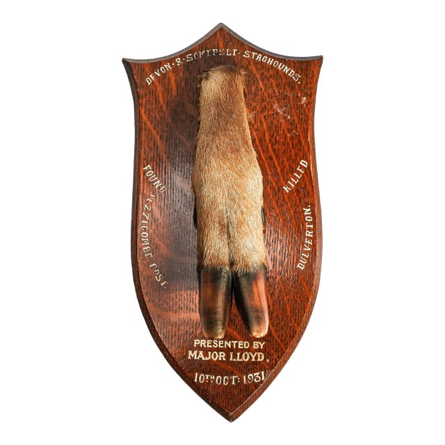 Nice Deer Hoof Wood Shield Mounted Antique English Taxidermy Hunting Trophy For Sale