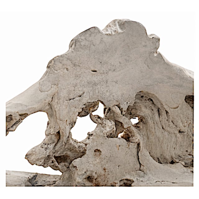 2020s Sculptural Bleached Driftwood Bench With Organic Openwork Back For Sale - Image 5 of 6