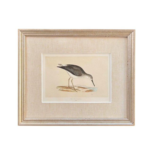 19th Century English Bird Engravings by Alexander Francis Lydon, Set 12 For Sale In Los Angeles - Image 6 of 18