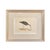 19th Century English Bird Engravings by Alexander Francis Lydon, Set 12 For Sale In Los Angeles - Image 6 of 18