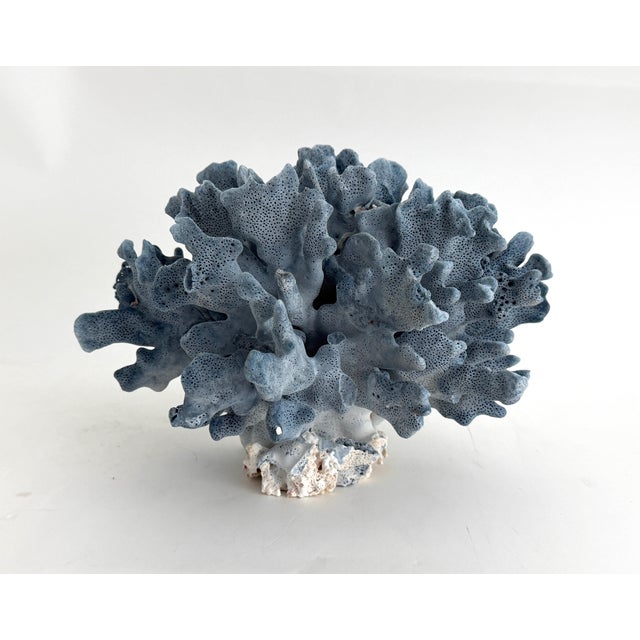 Chinoiserie Natural Blue Coral Specimen For Sale - Image 3 of 8