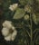 Campaign 18" X 18" Original Botanical Fine Art Print - Dark Green Grisaille For Sale - Image 3 of 5