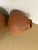 Mexican Mid-20th Century Mexican Tarahumara Rawhide-Bound Clay Ollas - A Pair For Sale - Image 3 of 5