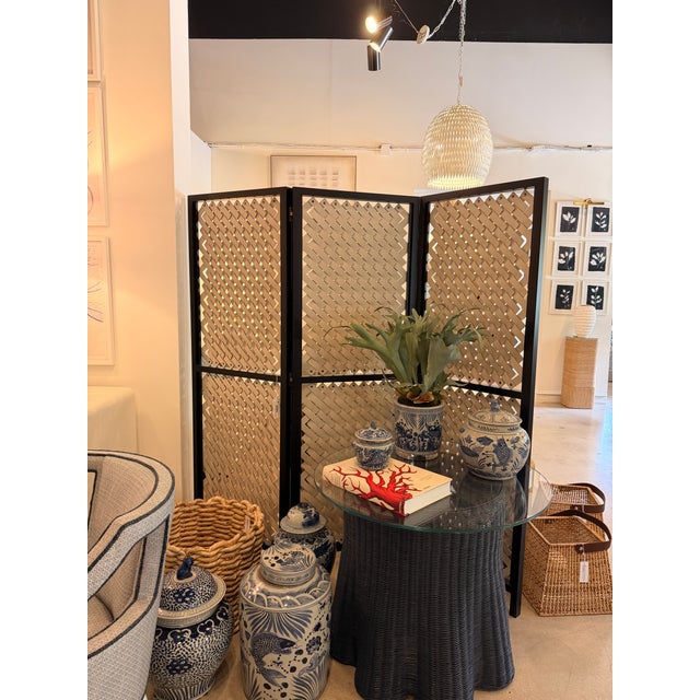 Pinetti Screen With Cream Woven Leather and Black Frame For Sale - Image 4 of 6