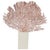 Beautiful coral fan set on a minimalist white stand. We have a collection. Great as a party gift or table setting. All one...