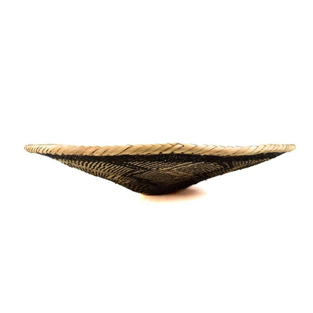 African Early 20th Century Tonga Binga Basket 22 Inch For Sale - Image 3 of 7