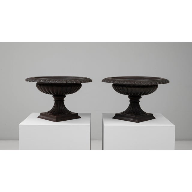 1900 - 1909 1900s French Cast Iron Tazza Urn Planters - A Pair For Sale - Image 5 of 18
