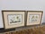 Design Plus Gallery presents a Pair of Botanical Art Prints in a Golden Roped Frame from Soicher-Marin. These botanical...