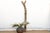 19th Century 78" Tall Antique African Dogon Ladder For Sale - Image 5 of 8