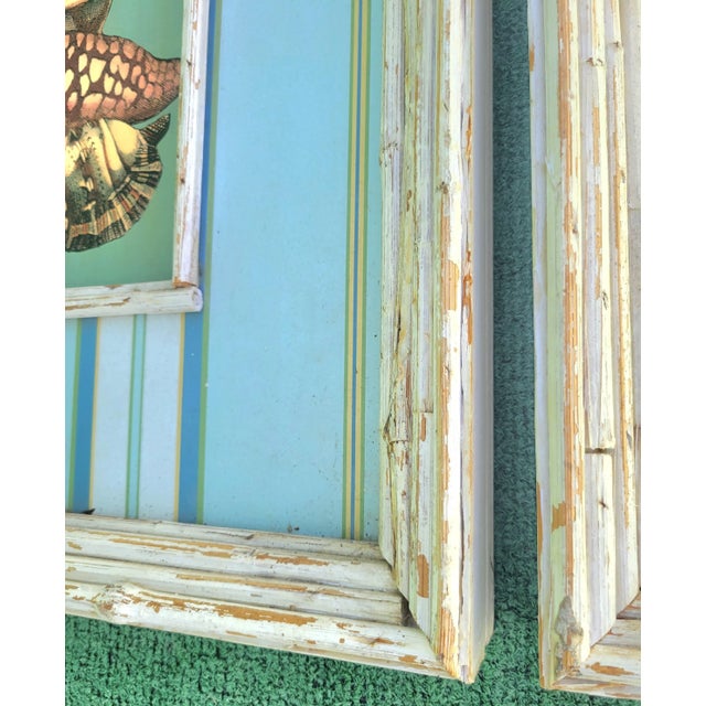 Serena & Lily Coastal Distressed Pale Blue Striped Seashell Framed Art - a Pair For Sale - Image 4 of 11