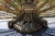 Vintage Brass Fireplace Screen Expandable Fan For Sale - Image 6 of 8