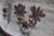 1960s Large French Ceramic Tray by Gustave Reynaud for Le Mûrier, 1960s For Sale - Image 5 of 13
