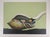Jean-Paul Donadini, Le cygne et le coquillage, Lithograph For Sale - Image 8 of 8
