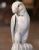 French 19th Century French Carved Marble Parrot Sculpture With Glass Eyes For Sale - Image 3 of 9