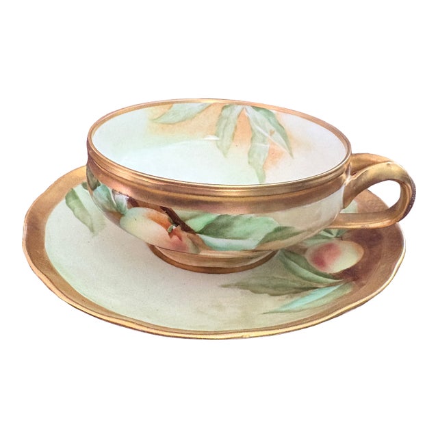 1890 Ginori Teacup and Saucer For Sale