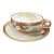 1890 Ginori Teacup and Saucer For Sale