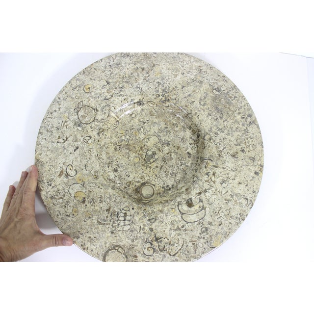 Contemporary Large Fossil Stone Shallow Bowl or Plate For Sale - Image 3 of 8